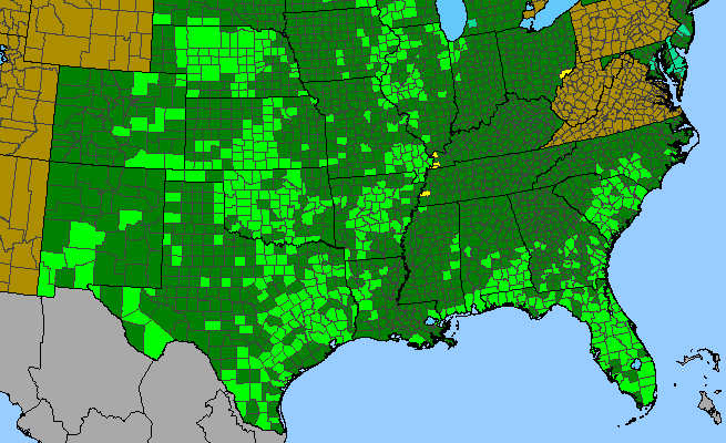 The range of Froelichia floridana